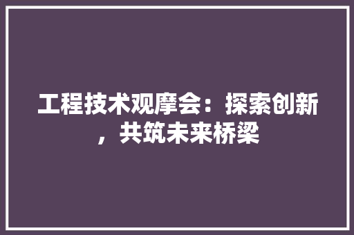 工程技术观摩会：探索创新，共筑未来桥梁 现代风格装饰