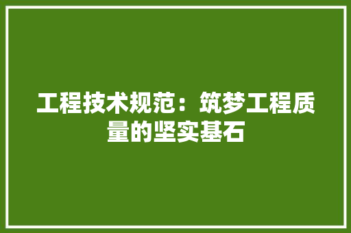 工程技术规范：筑梦工程质量的坚实基石 现代风格装饰