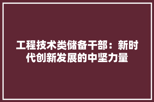 工程技术类储备干部：新时代创新发展的中坚力量 现代风格装饰