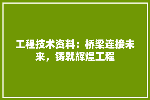 工程技术资料：桥梁连接未来，铸就辉煌工程 现代风格装饰
