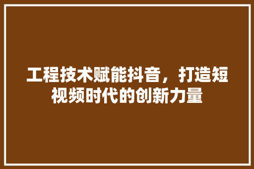 工程技术赋能抖音，打造短视频时代的创新力量 现代风格装饰
