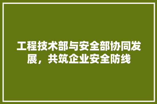 工程技术部与安全部协同发展，共筑企业安全防线 现代风格装饰