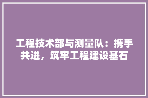 工程技术部与测量队：携手共进，筑牢工程建设基石 现代风格装饰
