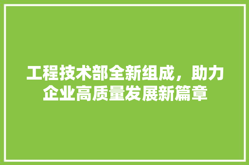 工程技术部全新组成，助力企业高质量发展新篇章 现代风格装饰