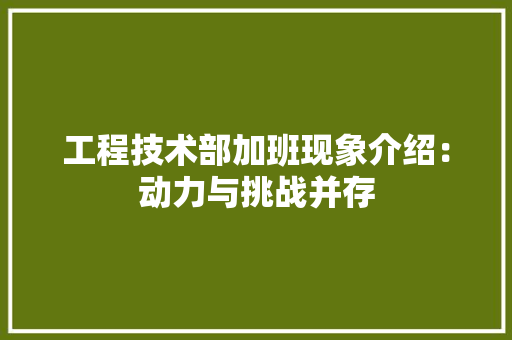 工程技术部加班现象介绍：动力与挑战并存 现代风格装饰