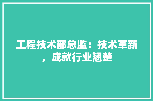 工程技术部总监：技术革新，成就行业翘楚 现代风格装饰