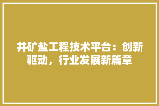 井矿盐工程技术平台：创新驱动，行业发展新篇章 家居装修