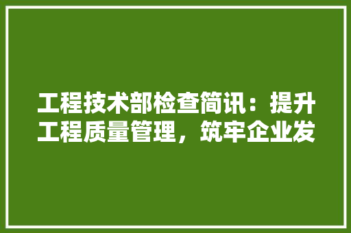 工程技术部检查简讯：提升工程质量管理，筑牢企业发展根基
