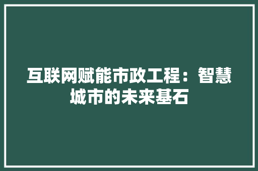 互联网赋能市政工程：智慧城市的未来基石 家居装修