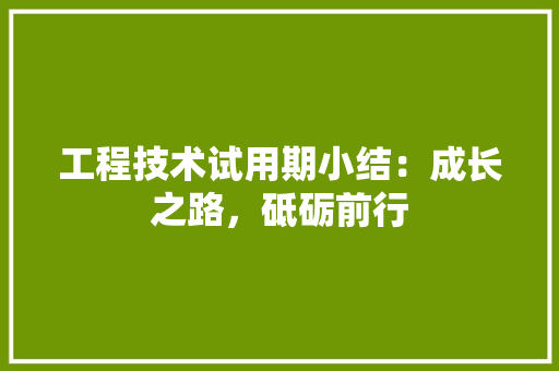 工程技术试用期小结：成长之路，砥砺前行 现代风格装饰