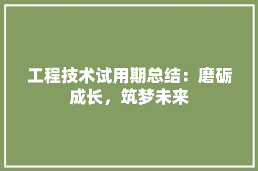 工程技术试用期总结：磨砺成长，筑梦未来 现代风格装饰