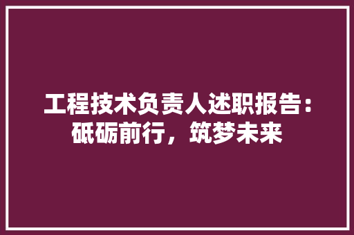 工程技术负责人述职报告：砥砺前行，筑梦未来 现代风格装饰