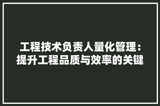工程技术负责人量化管理：提升工程品质与效率的关键 现代风格装饰