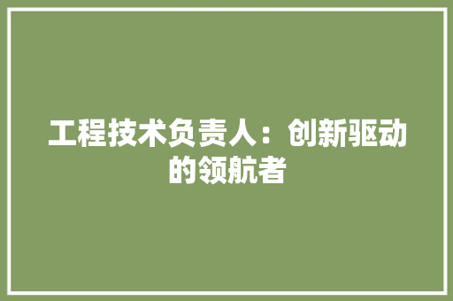 工程技术负责人：创新驱动的领航者 现代风格装饰