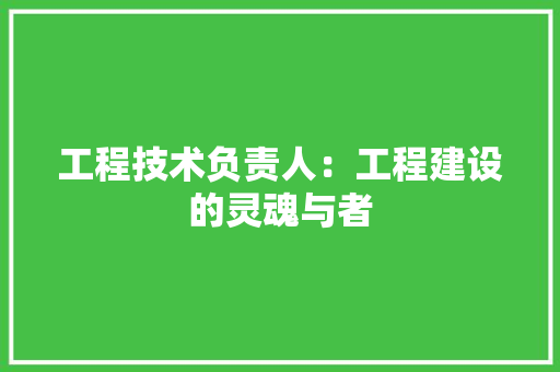 工程技术负责人：工程建设的灵魂与者 现代风格装饰