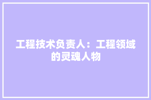 工程技术负责人：工程领域的灵魂人物 现代风格装饰