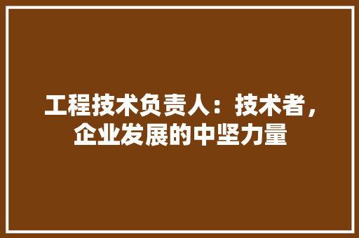 工程技术负责人：技术者，企业发展的中坚力量 现代风格装饰