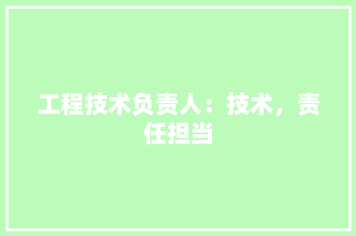 工程技术负责人：技术，责任担当 现代风格装饰