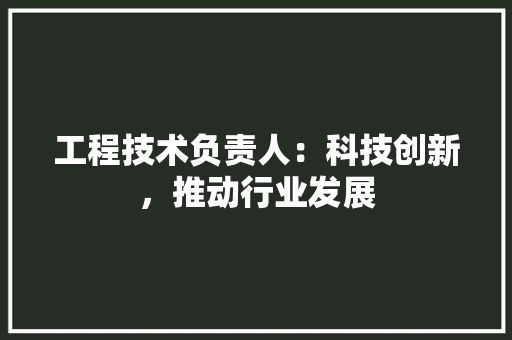工程技术负责人：科技创新，推动行业发展 现代风格装饰