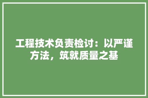 工程技术负责检讨：以严谨方法，筑就质量之基 现代风格装饰