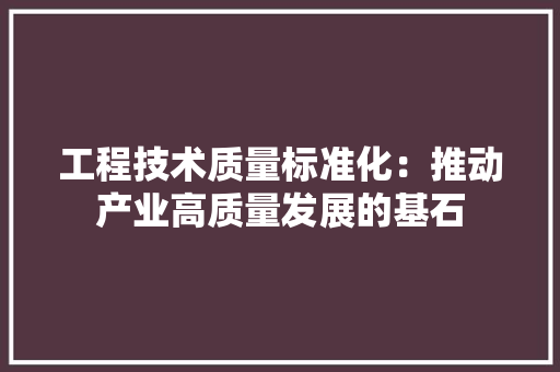 工程技术质量标准化：推动产业高质量发展的基石 现代风格装饰