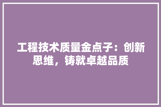 工程技术质量金点子：创新思维，铸就卓越品质 现代风格装饰