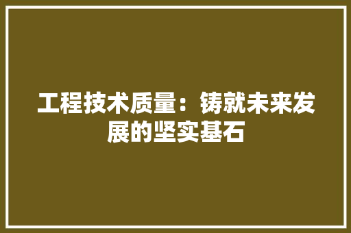 工程技术质量：铸就未来发展的坚实基石 现代风格装饰