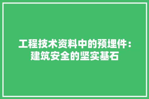 工程技术资料中的预埋件：建筑安全的坚实基石 现代风格装饰