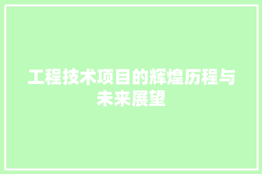 工程技术项目的辉煌历程与未来展望 中式风格装饰