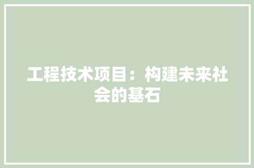 工程技术项目：构建未来社会的基石 中式风格装饰