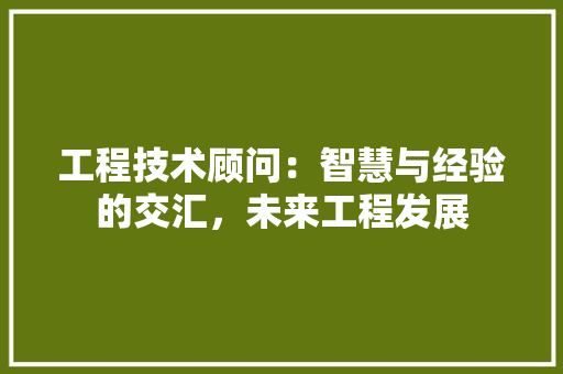 工程技术顾问：智慧与经验的交汇，未来工程发展 中式风格装饰