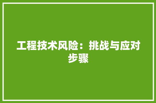 工程技术风险：挑战与应对步骤 中式风格装饰
