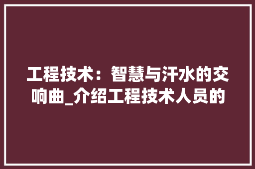 工程技术：智慧与汗水的交响曲_介绍工程技术人员的工作状态