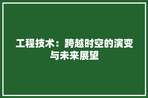 工程技术：跨越时空的演变与未来展望 中式风格装饰