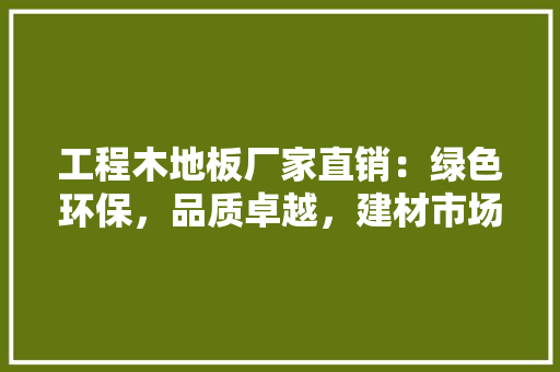 工程木地板厂家直销：绿色环保，品质卓越，建材市场新风尚 中式风格装饰