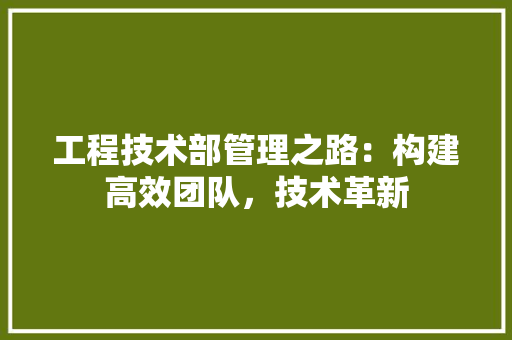 工程技术部管理之路：构建高效团队，技术革新 现代风格装饰