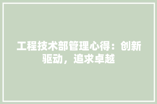 工程技术部管理心得：创新驱动，追求卓越 现代风格装饰