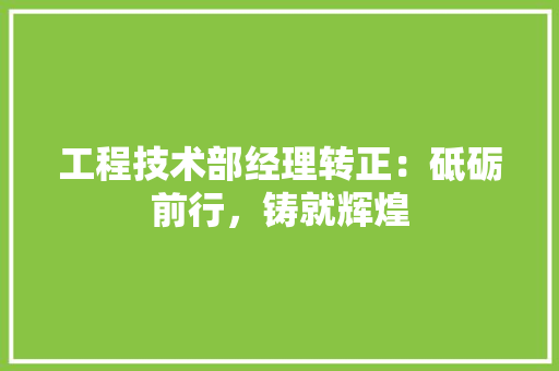 工程技术部经理转正：砥砺前行，铸就辉煌 中式风格装饰