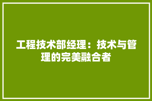 工程技术部经理：技术与管理的完美融合者 中式风格装饰