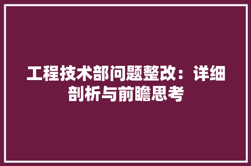 工程技术部问题整改：详细剖析与前瞻思考
