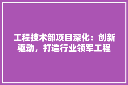 工程技术部项目深化：创新驱动，打造行业领军工程