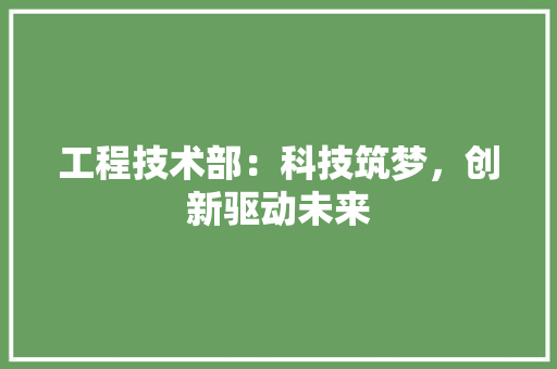 工程技术部：科技筑梦，创新驱动未来 中式风格装饰