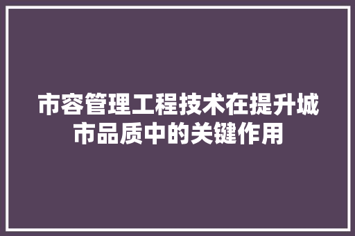 市容管理工程技术在提升城市品质中的关键作用 中式风格装饰