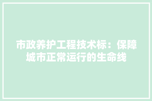 市政养护工程技术标：保障城市正常运行的生命线 中式风格装饰