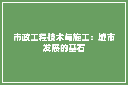 市政工程技术与施工：城市发展的基石 中式风格装饰