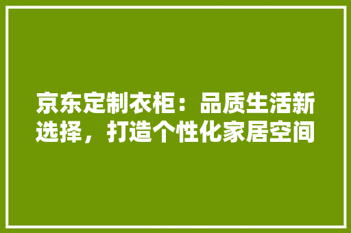 京东定制衣柜：品质生活新选择，打造个性化家居空间 家居装修