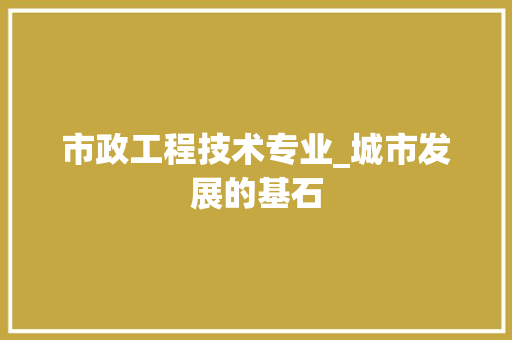 市政工程技术专业_城市发展的基石 中式风格装饰