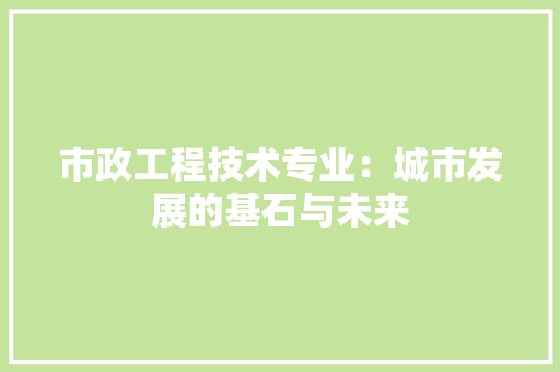 市政工程技术专业：城市发展的基石与未来