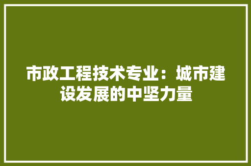 市政工程技术专业：城市建设发展的中坚力量 中式风格装饰