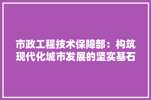 市政工程技术保障部：构筑现代化城市发展的坚实基石